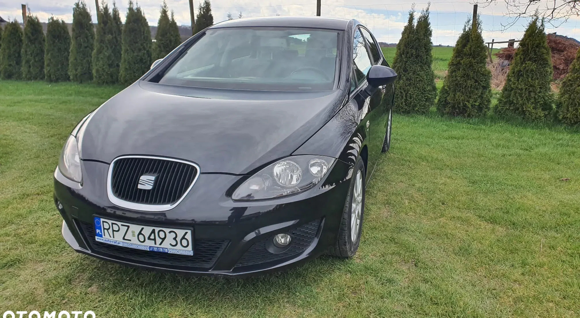 samochody osobowe Seat Leon cena 18500 przebieg: 238425, rok produkcji 2010 z Przemków